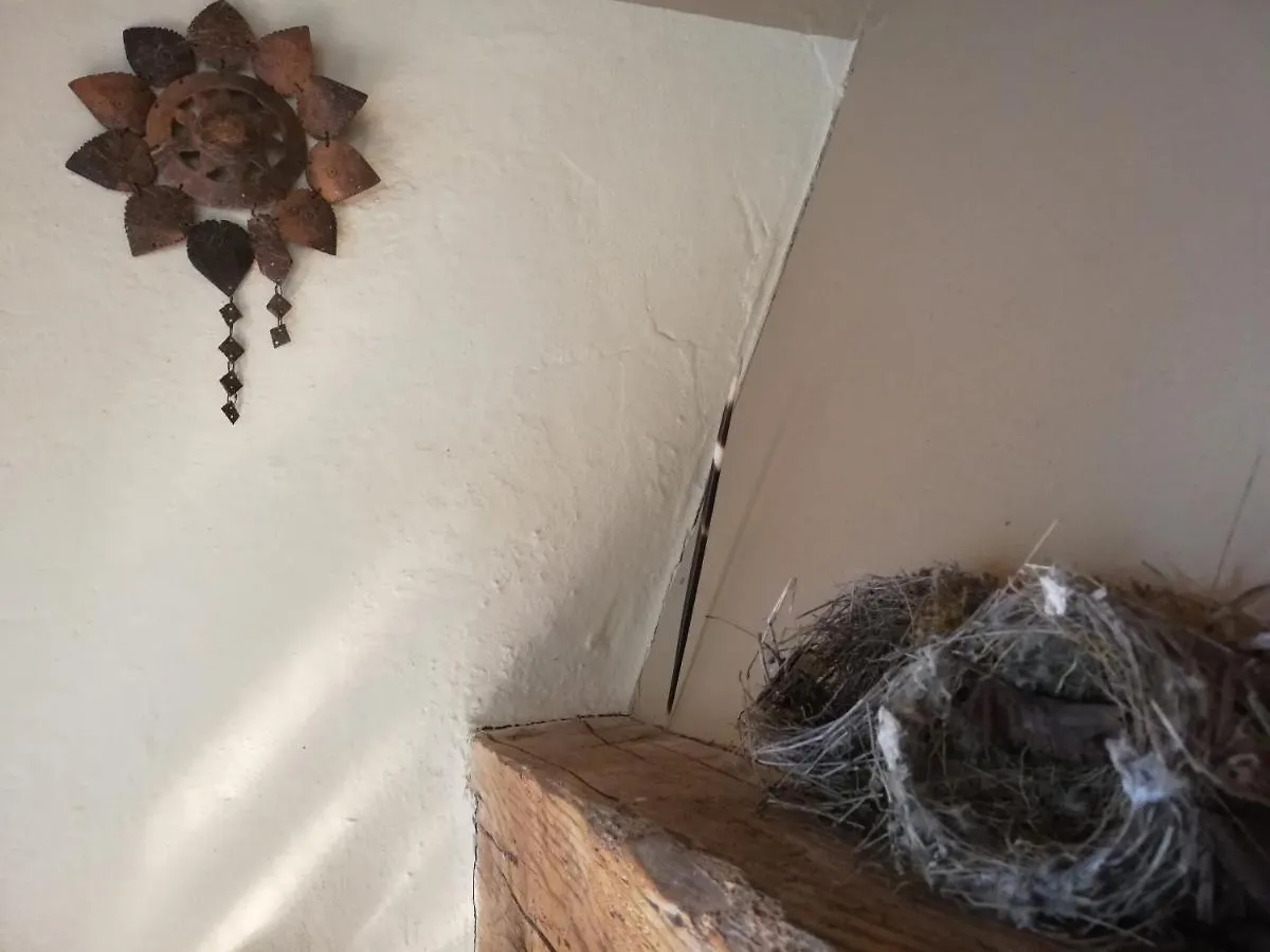 Casa Delle Ginestre Apartment Cesena 0*,  Italy